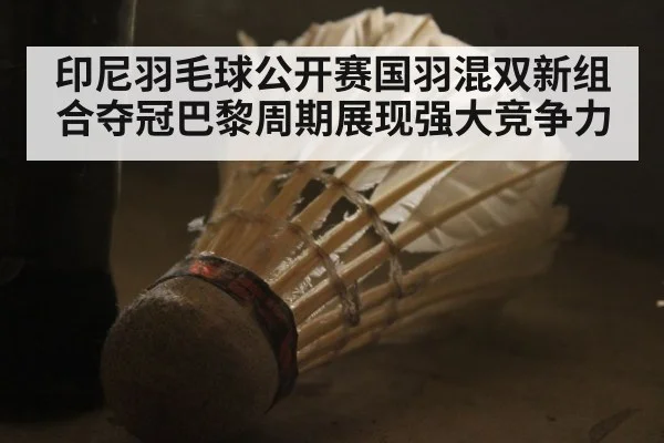 印尼羽毛球公开赛国羽混双新组合夺冠巴黎周期展现强大竞争力
