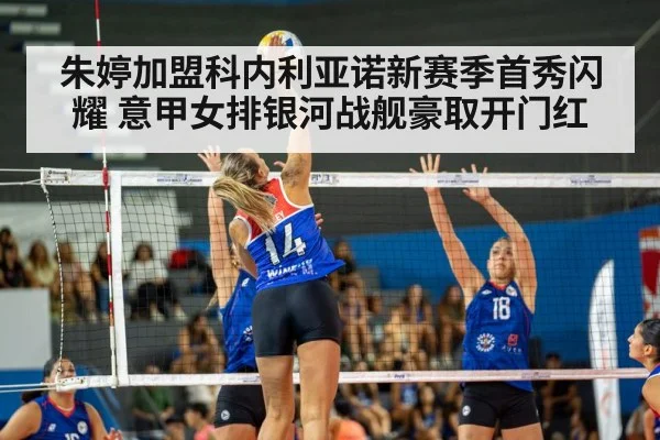 volleyball match