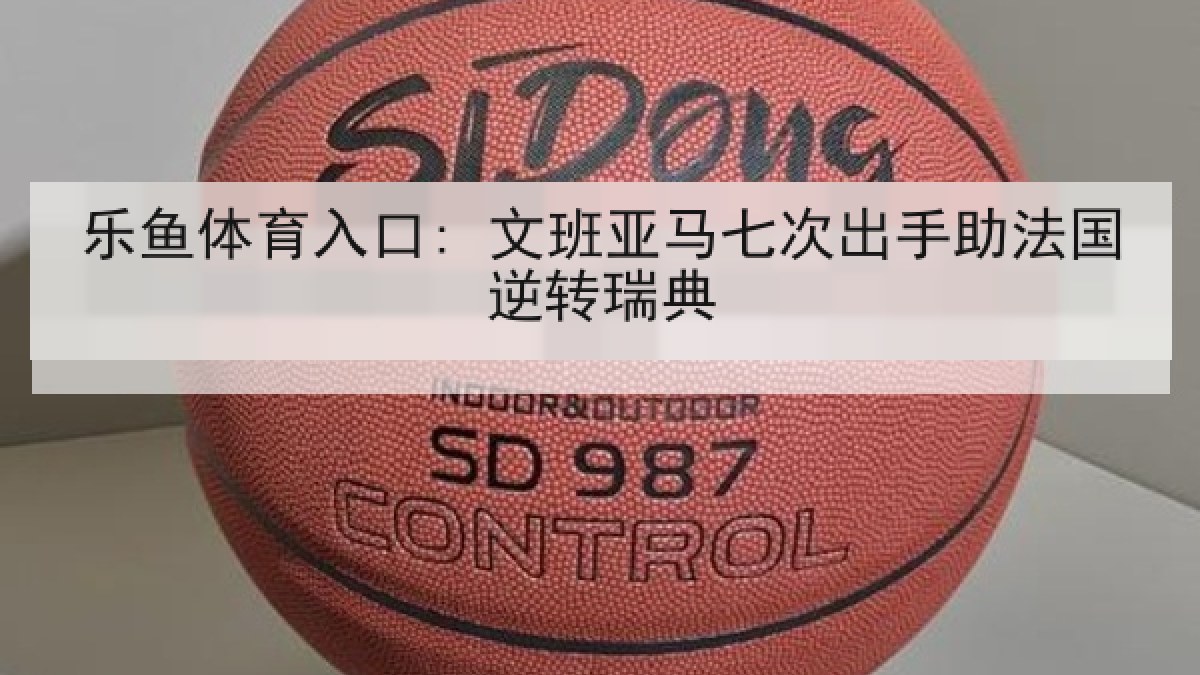 乐鱼体育入口: 文班亚马七次出手助法国逆转瑞典