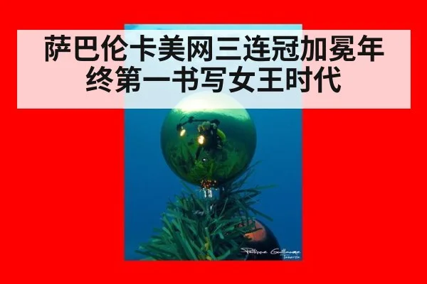 萨巴伦卡美网三连冠加冕年终第一书写女王时代